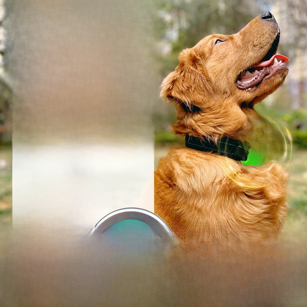Silicone Pet Repellent Collar with Essential Oil