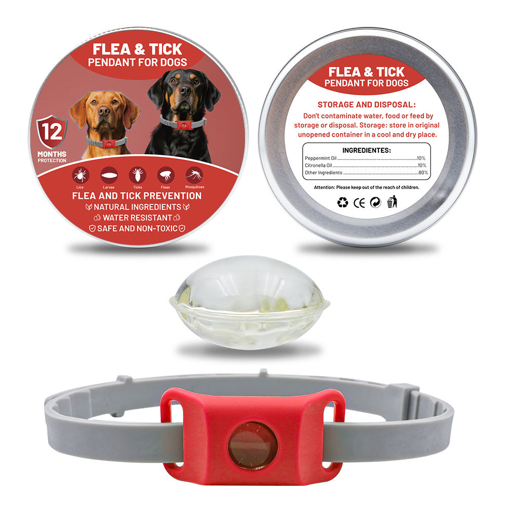 Collar Perro 2