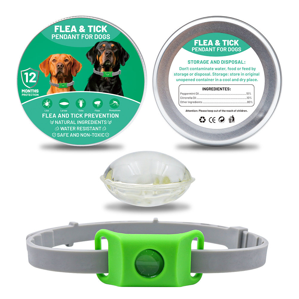 Collar Perro 2
