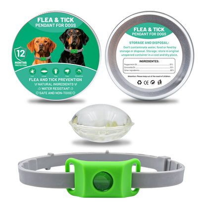 Collar Perro 2